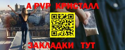 гашик Новозыбков