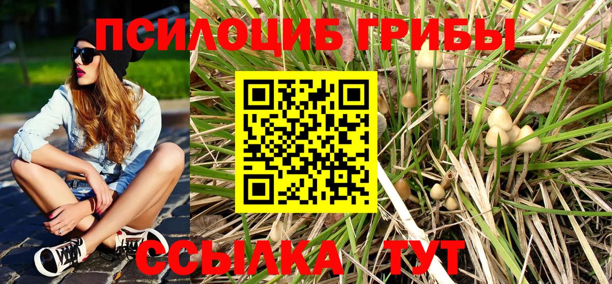 Псилоцибиновые грибы MAGIC MUSHROOMS  Псилоцибиновые грибы Psilocybe  Симферополь  Вход с VPN 